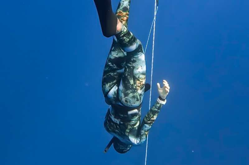 freediving sunshine coast