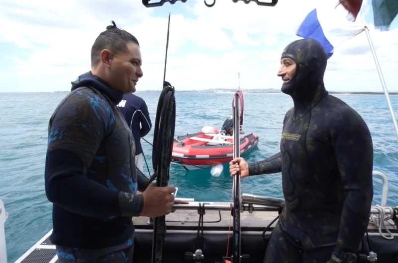 spearfishing sunshine coast